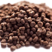 ambrette absolute oil seeds