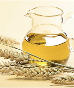 Wheat Germ Oil 100 mL
