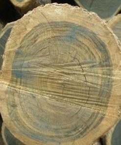 Alternative view of Essential Oil Guaiacwood