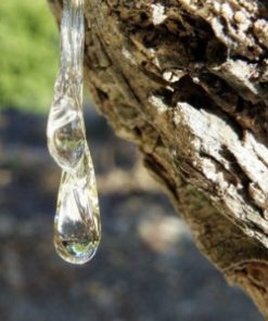 Essential Oil Mastic