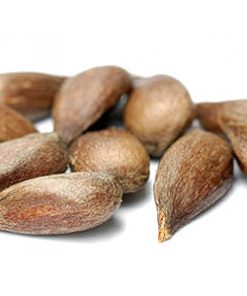 essential oil sugandh mantri 2