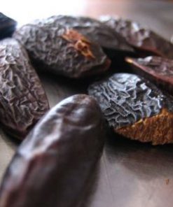 tonka bean absolute 1