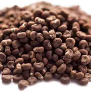 Ambrette Absolute Oil