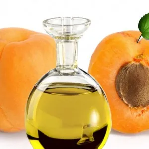 Apricot Oil 100 ml