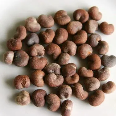 Baobab Oil Organic Cold-Pressed 100 ml