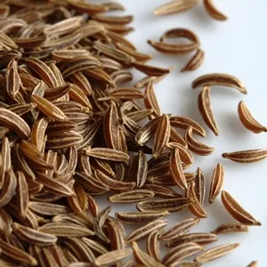 Caraway Essential Oil 15 ml