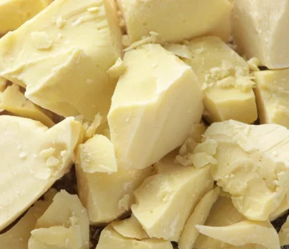 Cocoa Butter Food-Grade Pure Natural Unrefined 500 g (Clearance)