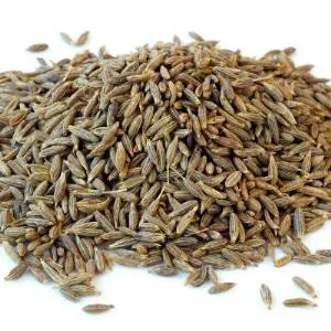 Cumin Essential Oil 15 ml