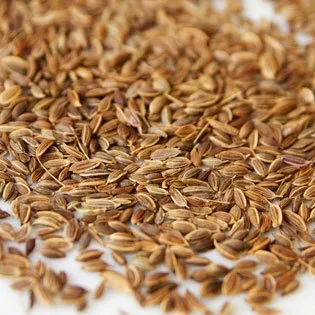 Dill Seed Essential Oil 15 ml