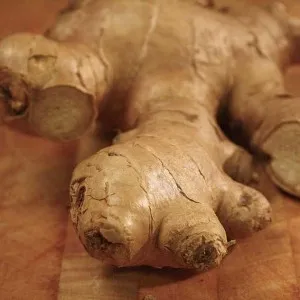 Ginger Essential Oil 15 ml