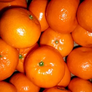 Mandarin Essential Oil 15 ml