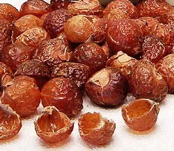 Soap Nuts (Soap Berries) 1 kg