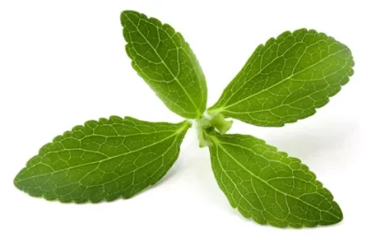 Stevia Leaf - Dried Leaf 100 g