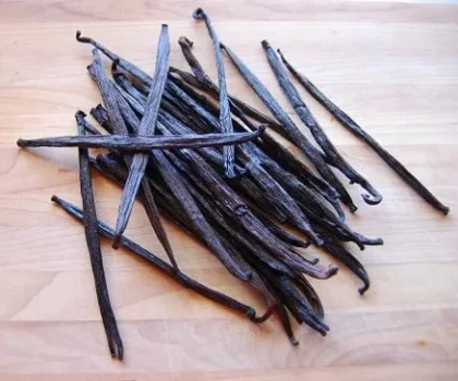 Vanilla Absolute Oil